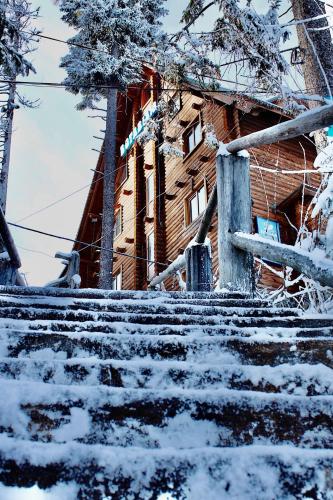 a snow covered staircase leading to a log cabin at Вотавілю Драгобрат in Dragobrat