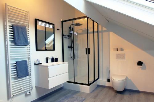 een badkamer met een douche, een wastafel en een toilet bij One bedroom appartement with city view and wifi at Waterloo in Waterloo