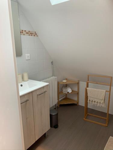 une salle de bain avec un lavabo et un miroir dans l'établissement Les hauts de campagne, à La neuville roy