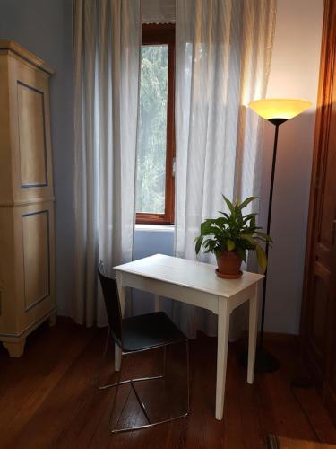 a white table with a plant on it in a room at B&B Villa Tavallini in Pollone