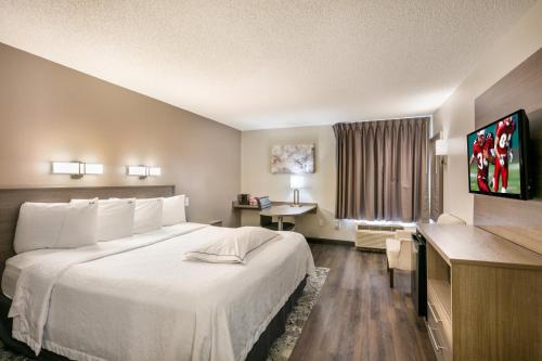 Red Roof Inn PLUS+ Boston - Logan Image