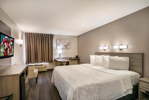 a hotel room with a bed and a desk at Red Roof Inn PLUS+ Boston - Logan in Saugus