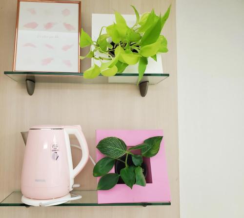 una mensola con una macchinetta del caffè e una pianta di Cozy - Good Vibes Studio a Incheon