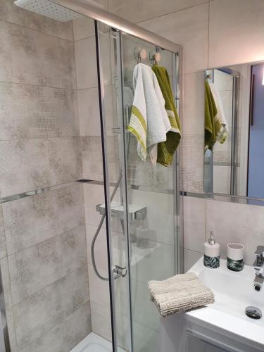 une salle de bain avec douche et lavabo dans l'établissement La Canopée Superbe 2 pièces neuf à 100m de la plage Classé 2 étoiles, à Menton