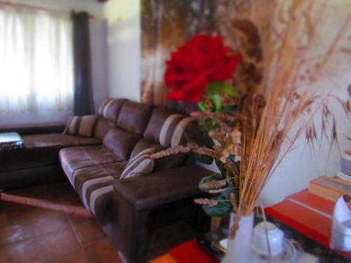 Χώρος καθιστικού στο Apartamentos Casas Rurales "Paraje San Blas" TR-BA-00166