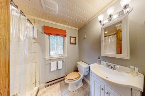 ein Bad mit einem WC und einem Waschbecken in der Unterkunft 17 Fox Run in Intervale