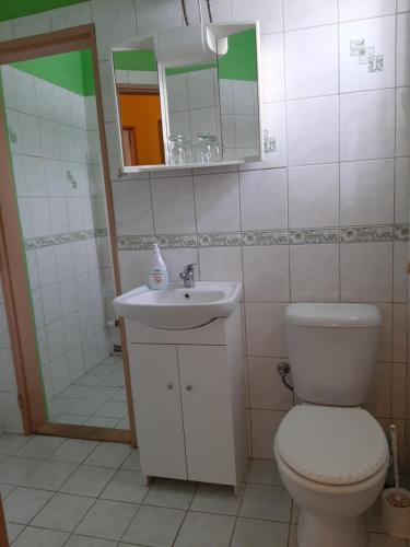 a bathroom with a toilet and a sink and a mirror at Apartmány-Zámecký Restaurant in Jindřichovice