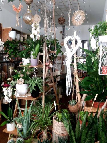 a room filled with lots of potted plants at Les Terrasses de Saillans in Saillans