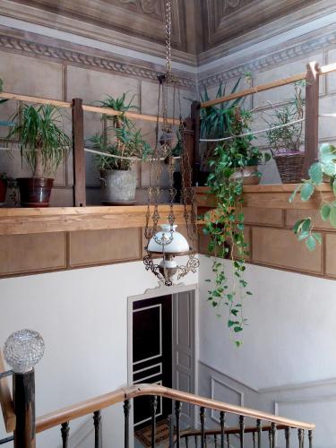 a room with potted plants on a wall at Les Terrasses de Saillans in Saillans