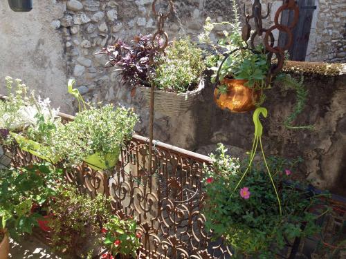 a bunch of potted plants on a fence at Les Terrasses de Saillans in Saillans