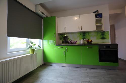 Η κουζίνα ή μικρή κουζίνα στο Apartment Cvjetna