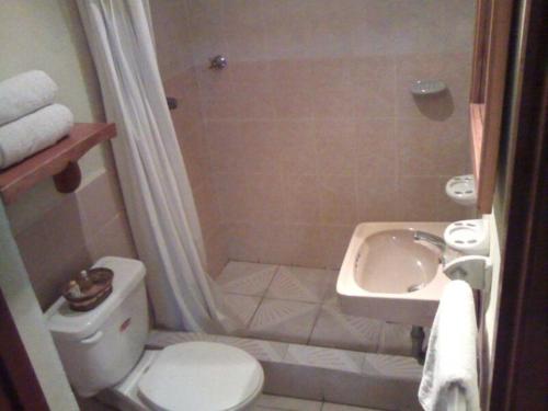 een badkamer met een toilet en een wastafel bij Nakum Hotel in Flores