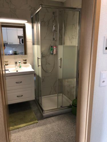 Apartment by Mario في إنترلاكن: حمام مع دش ومغسلة