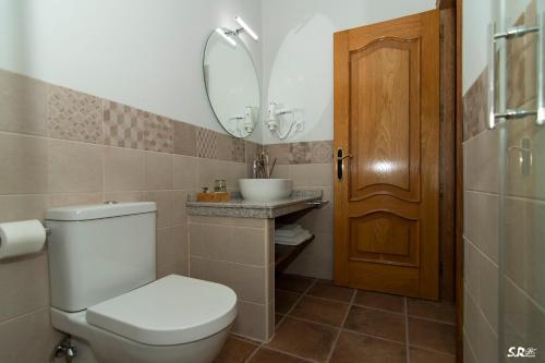 a bathroom with a toilet and a sink and a mirror at Casa Rural La Molinera Riolobos Caceres in Ríolobos