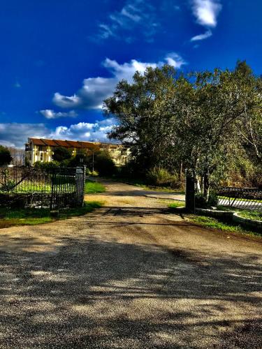 a dirt road in front of a house with a tree at Banos Apartment 2 bed rooms And Swimming Pool in Roda