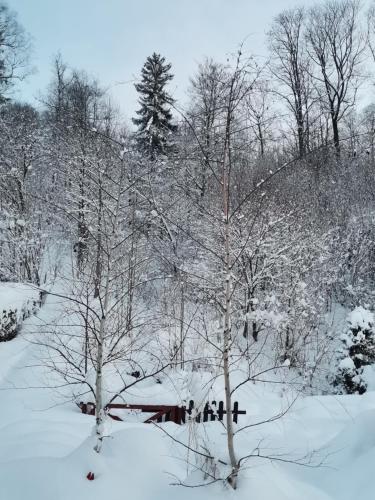 a group of trees with snow on them at Willa Katarzynka in Wisła