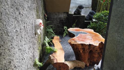 Φωτογραφία από το άλμπουμ του Putu home stay ubud στο Ουμπούντ