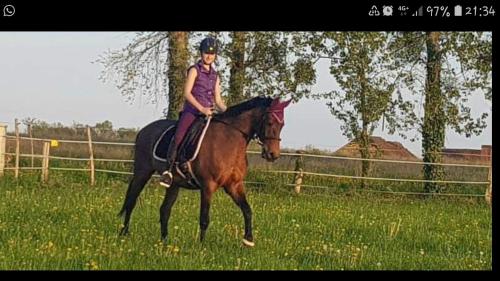 Una donna che cavalca un cavallo in un campo di Maison Du Cheval a Chalais