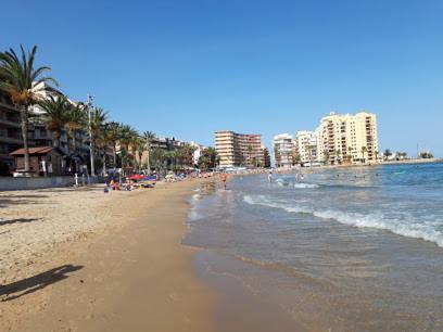 Torrevieja - Caballero de Rodas 173