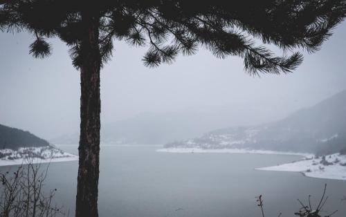 アパートメントの近くで見られる自然の景観