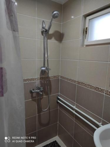 uma cabina de duche na casa de banho com um lavatório em 3 Andjela em Vrdnik