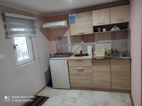 uma pequena cozinha com armários de madeira e um lavatório em 3 Andjela em Vrdnik