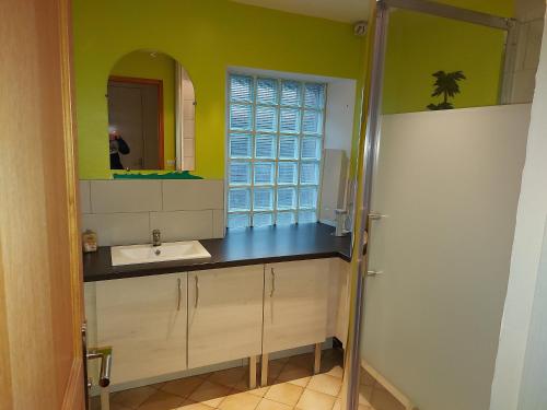 a bathroom with a sink and a mirror at Chambre dans un écrin de verdure 