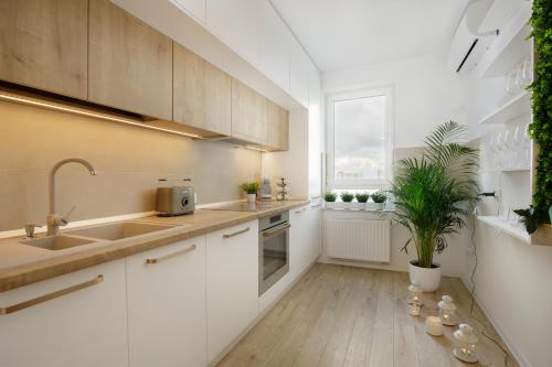 una cucina con armadi bianchi, lavandino e pianta di Cliché Luxury Apartment a Braşov