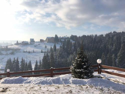 a christmas tree in the snow on a fence at Вовкаль in Yablunytsya