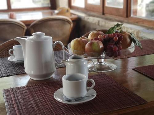 塞尼梅西奇卡罗Helydorea zen BED& BREAKFAST的桌子上放着杯子和一盘水果