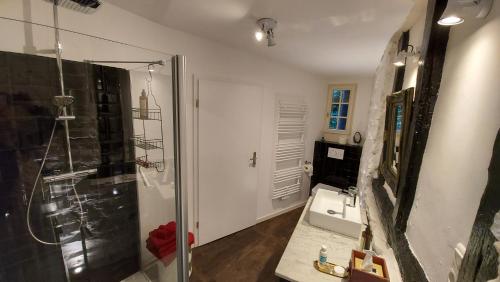 ein Badezimmer mit Dusche, Waschbecken und Spiegel in der Unterkunft Manoir -1654- historisch schlafen in Monschaus Altstadt in Monschau