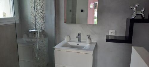 y baño con lavabo blanco y ducha. en Chez Anne Marie, en Beausemblant