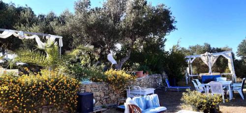 Gallery image of Forestata Village in Lixouri