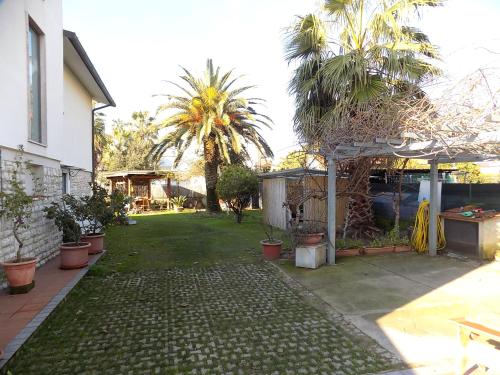 a yard with palm trees and a house at Casa Nuccia gentili david in Marina di Massa