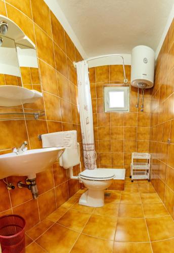 a bathroom with a toilet and a sink and a mirror at Apartment Dumičić 1 in Rab