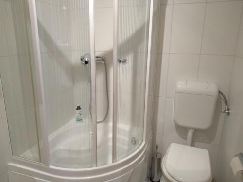 a white bathroom with a shower and a toilet at Apartment Vista in Lupoglav