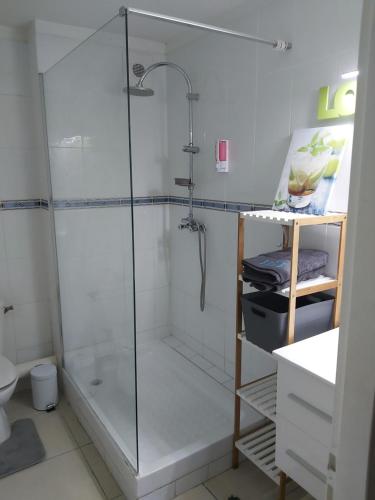 a shower with a glass door in a bathroom at Appartement face à la marina du marin martinique in Le Marin