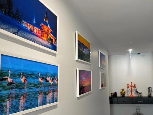 a group of pictures hanging on a wall at ODYSSEY APOLLO BAY in Apollo Bay