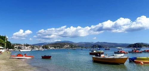 Φωτογραφία από το άλμπουμ του Skalidis Apartments στο Τολό