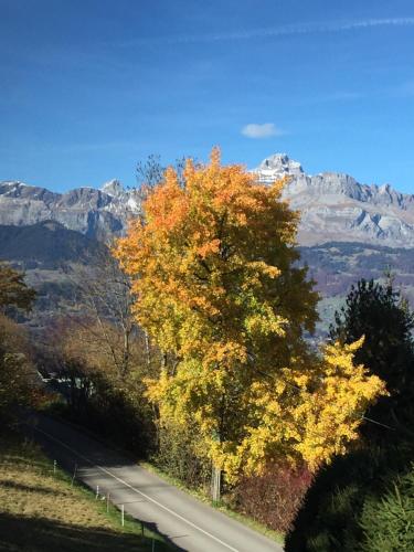 Fotografie z fotogalerie ubytování Le Caribou v destinaci Saint-Gervais-les-Bains
