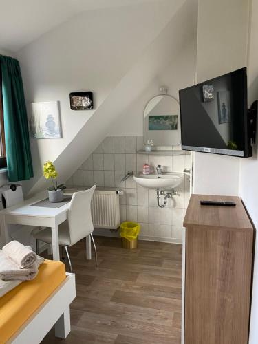 a bathroom with a sink and a mirror and a television at C&C Gästehaus Bückeburg in Bückeburg