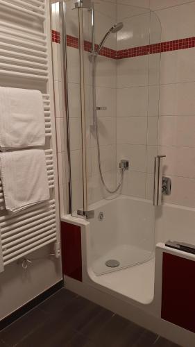 a bathroom with a shower with a glass door at Ferienwohnung Floriani in St. Wolfgang