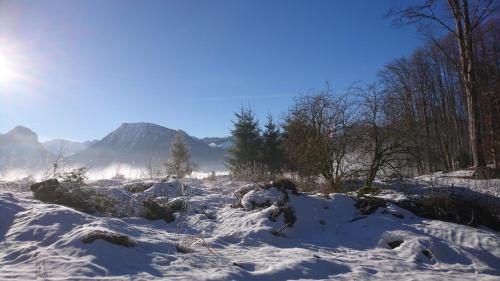 a snow covered field with trees and mountains in the background at Ferienwohnung Floriani in St. Wolfgang