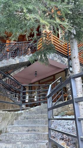 Fotografie z fotogalerie ubytování Forest House v destinaci Mihove