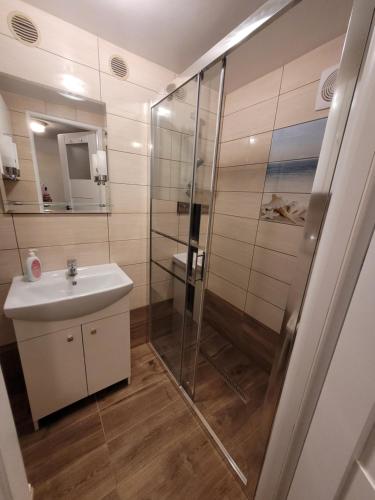 a bathroom with a shower and a sink at Wojciechówka in Ustka
