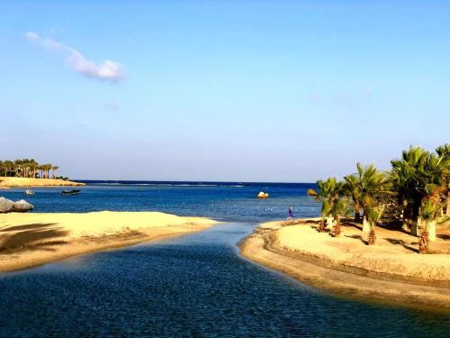 a view of a beach with palm trees and the ocean at Brayka Bay Reef Resort in Abu Dabab