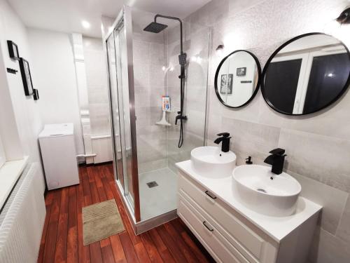 Un baño con lavabo, espejo y ducha. en Au Bretzel Doré - Centre Historique, en Colmar