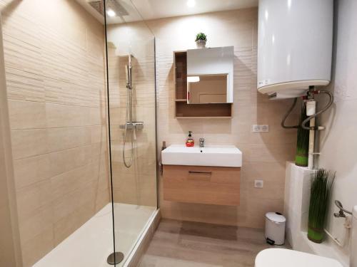 une salle de bain avec une douche, un lavabo et des toilettes dans l'établissement Au Kugelhopf Doré - Centre Historique, à Colmar