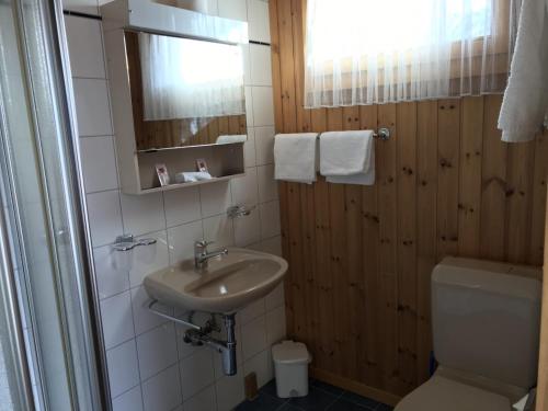 a bathroom with a sink and a toilet at Hotel Wannenhorn in Bellwald