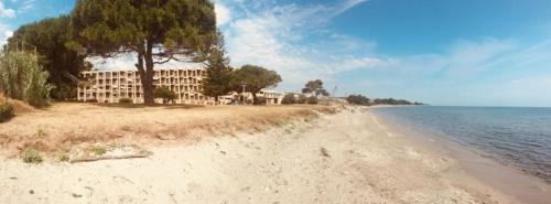 Fotografie z fotogalerie ubytování Studio bord de mer - Piscine - Plage v destinaci San-Nicolao